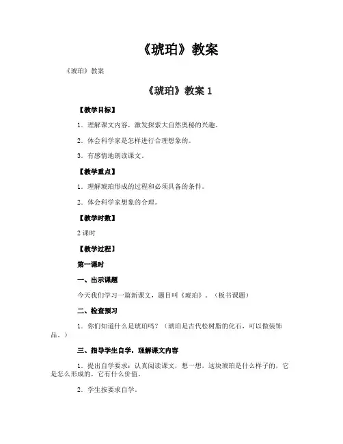 《琥珀》教案