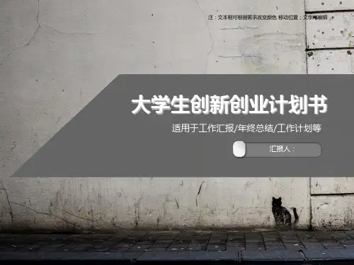 大学生创新创业计划书PPT