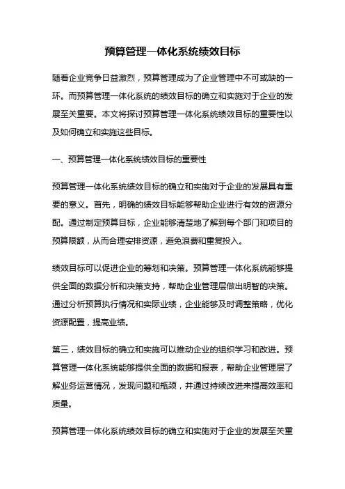 预算管理一体化系统绩效目标