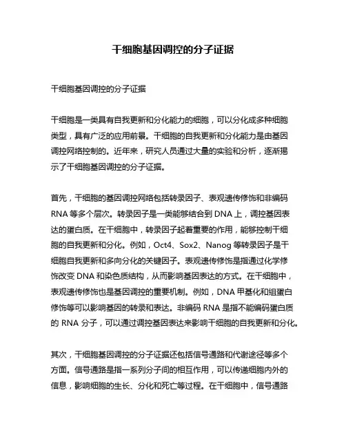 干细胞基因调控的分子证据