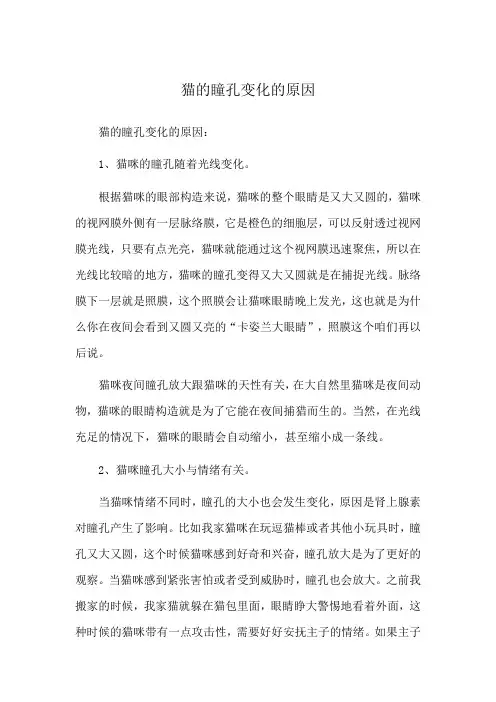 猫的瞳孔变化的原因