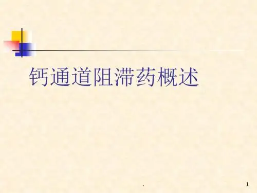 钙通道阻滞剂概述ppt演示课件