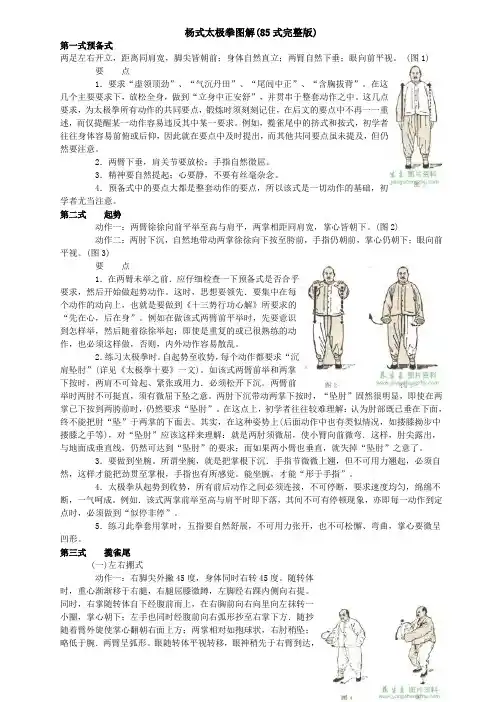 杨式85式太极拳图解(完整版)