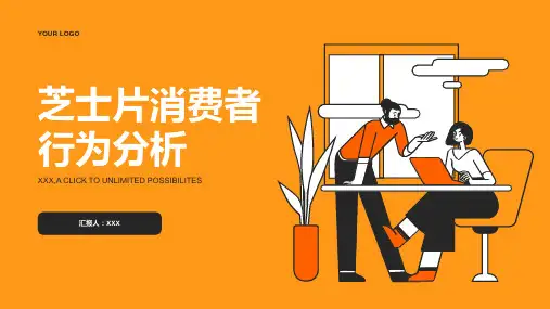 芝士片消费者行为分析报告