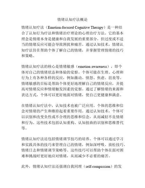 情绪认知疗法概论