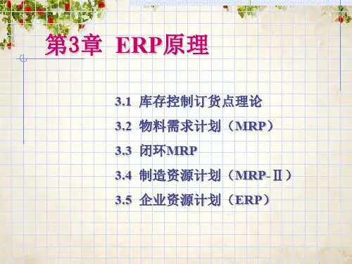 ERP原理基本知识(ppt 41页)