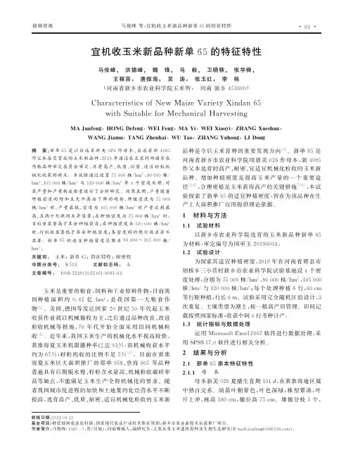 宜机收玉米新品种新单65的特征特性