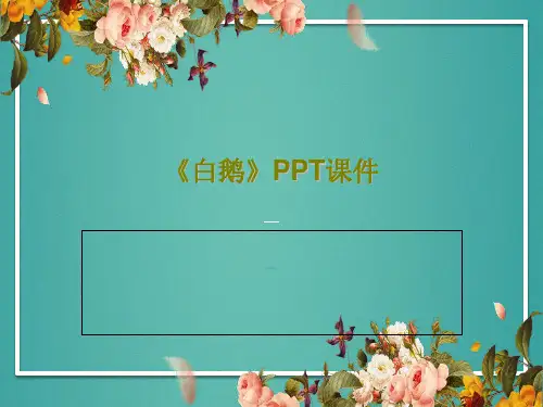 《白鹅》PPT课件25页PPT