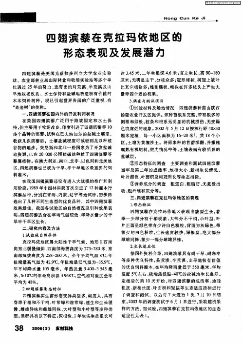 四翅滨藜在克拉玛依地区的形态表现及发展潜力
