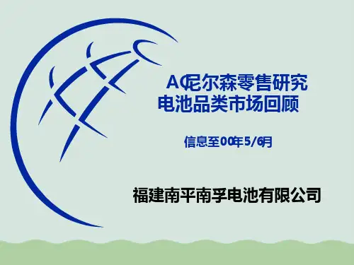 南孚电池品类市场分析PPT(共65页)