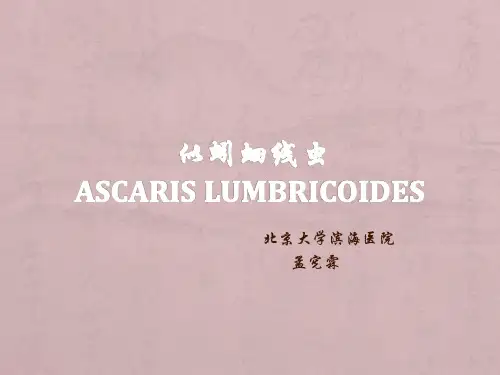 寄生虫