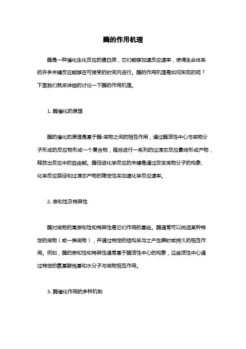 酶的作用机理