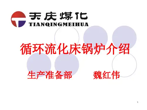 循环流化床锅炉介绍ppt课件