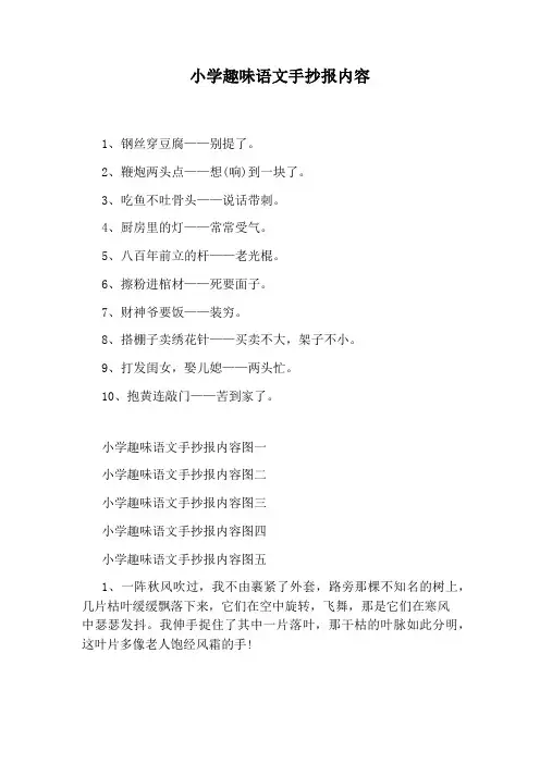 小学趣味语文手抄报内容