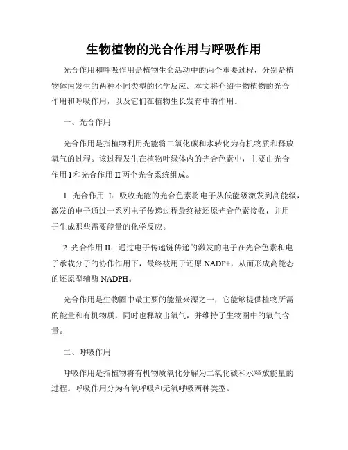 生物植物的光合作用与呼吸作用