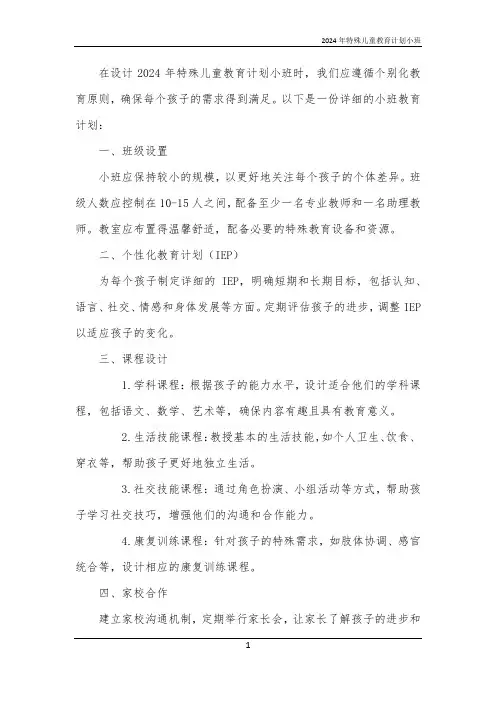 2024年特殊儿童教育计划小班