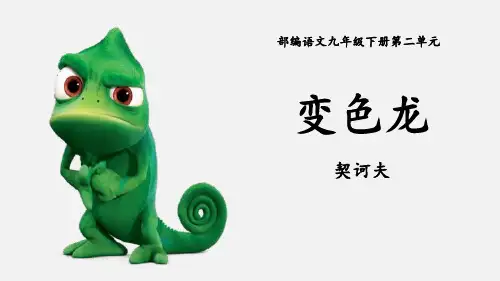 部编版九年级下册语文《变色龙》PPT优秀课件