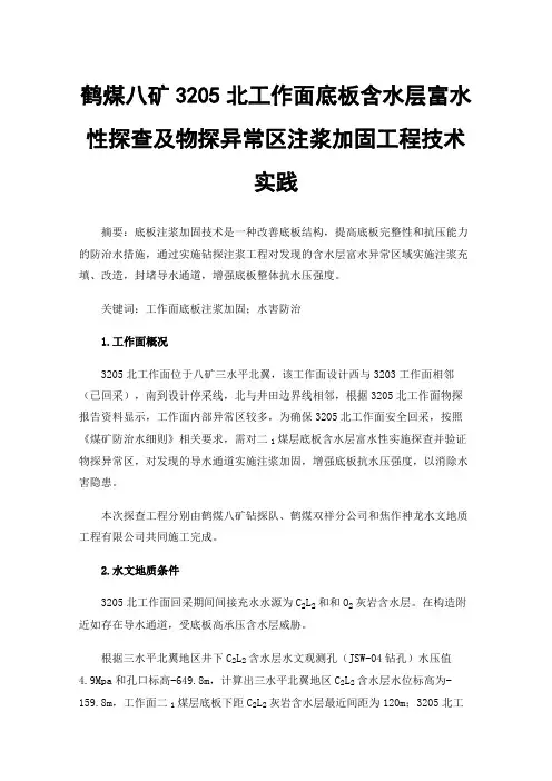 鹤煤八矿3205北工作面底板含水层富水性探查及物探异常区注浆加固工程技术实践