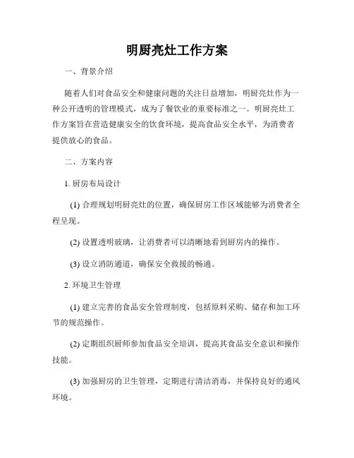 明厨亮灶工作方案