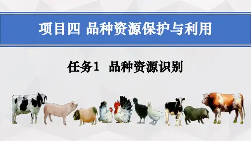 动物品种资源保护与利用—品种资源识别(动物遗传育种课件)