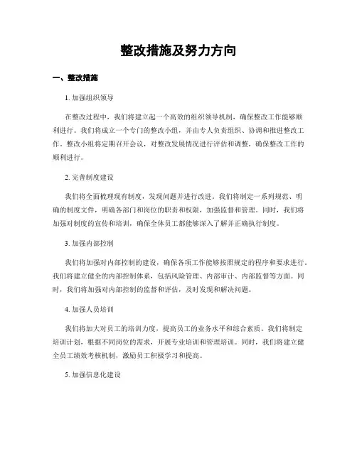 整改措施及努力方向