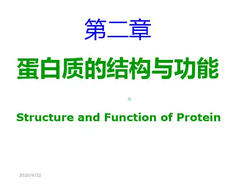 分子生物学蛋白质ppt课件
