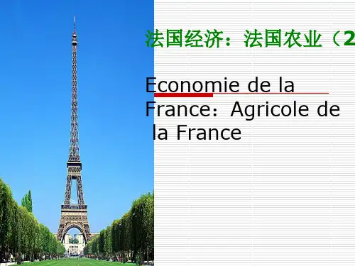 法国文化(农业经济)