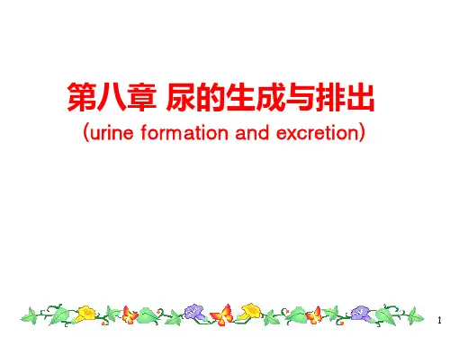 生理学第八章尿的生成和排出-zh (2)