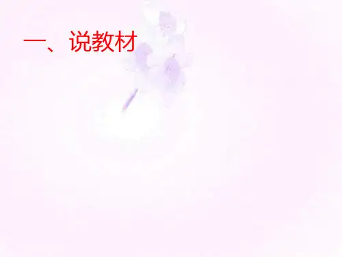 12番茄太阳说课课件