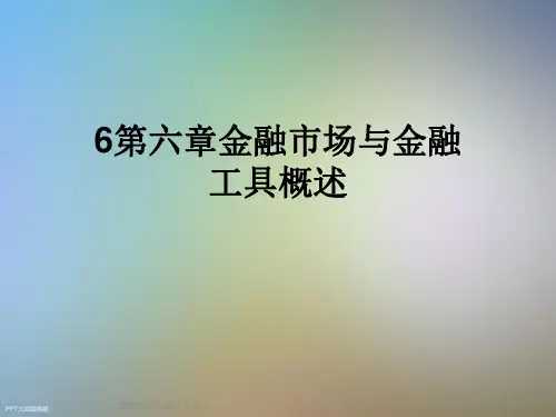 6第六章金融市场与金融工具概述
