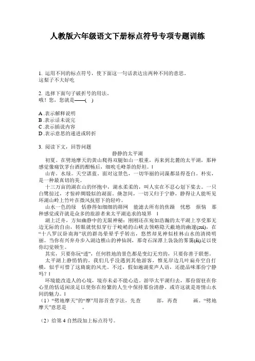 人教版六年级语文下册标点符号专项专题训练