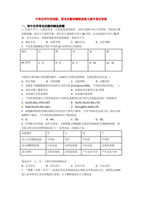 中考化学专项训练：常见的酸和碱提高能力提升卷含答案