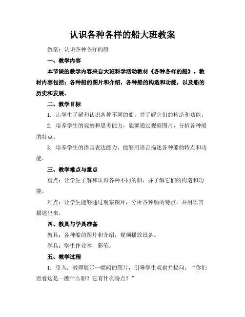 认识各种各样的船大班教案