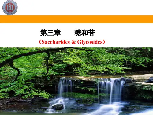 第三章 糖和苷讲解