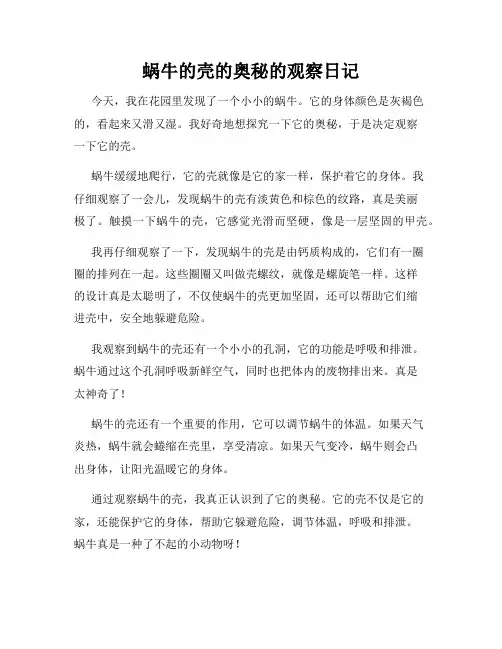 小学三年级作文蜗牛的壳的奥秘的观察日记
