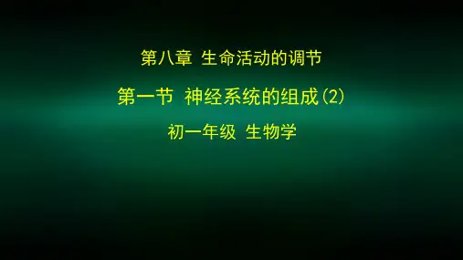 初一生物学(北京版)-第八章 生命活动的调节-8.2神经系统的组成-2PPT课件