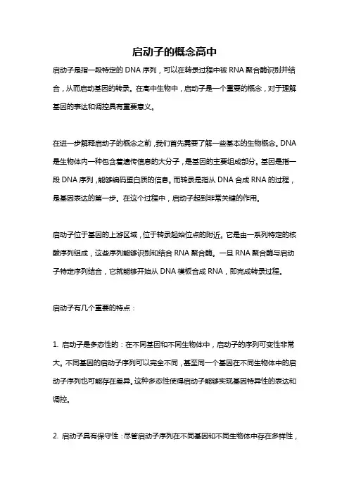 启动子的概念高中