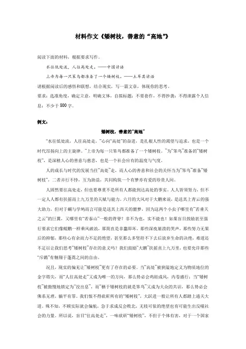 材料作文《矮树枝,善意的“高地”》
