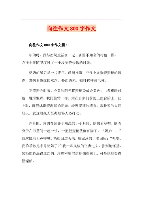 向往作文800字作文
