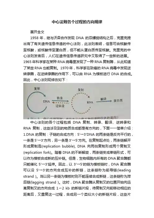 中心法则各个过程的方向规律