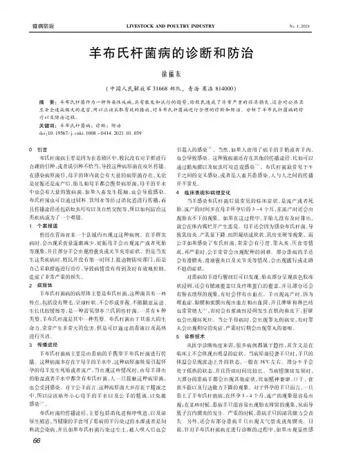 羊布氏杆菌病的诊断和防治