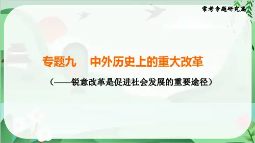 2025年中考历史总复习常考专题研究专题九 中外历史上的重大改革