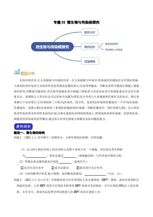 专题03微生物与传染病探究(原卷版+解析)