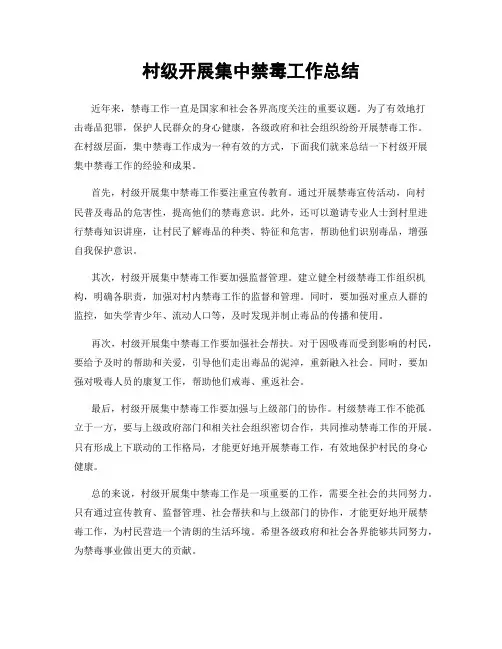 村级开展集中禁毒工作总结