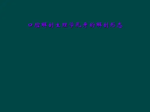 口腔解剖生理学乳牙的解剖形态