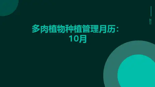 多肉植物种植管理月历：10月