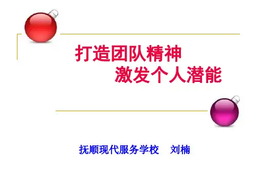 打造团队精神激发个人潜能概述(PPT 75页)
