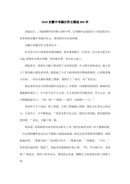 2020安徽中考满分作文精选800字