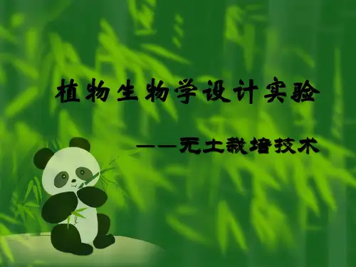 植物生物学设计实验——【吉林大学 植物生物学实验】