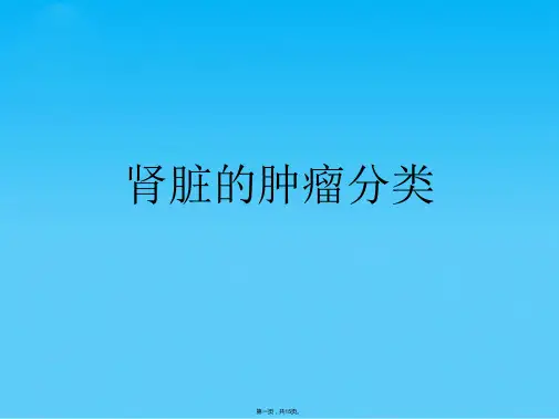 肾脏的肿瘤分类(共15张PPT)